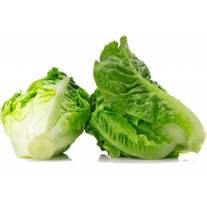 CHOY TAM 1KG