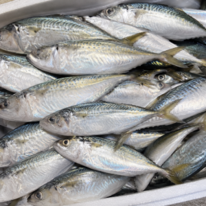 IKAN KEMBUNG 4/6 1KG