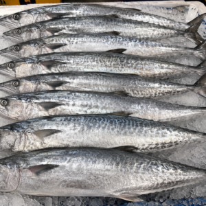 ChatGPT Image Jul 21, 2026 at 05_50_42 PM IKAN TENGGIRI 500/700 1KG