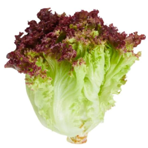 SALAD MERAH 1KG