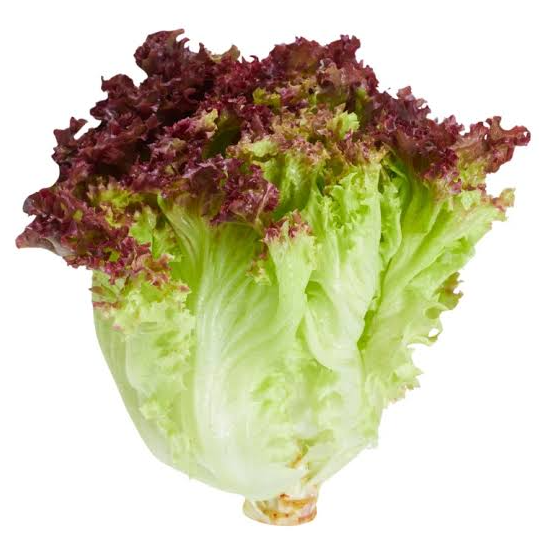 red_coral_salad SALAD MERAH 1KG