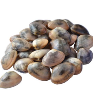 KEPAH 1KG