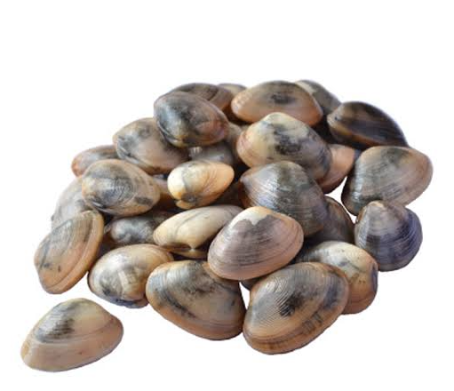 kepah KEPAH 1KG