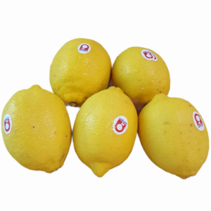 LEMON MESIR 113PCS