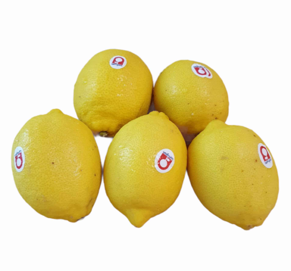 lemon LEMON MESIR 113PCS