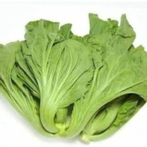 KAILAN THAI 1KG