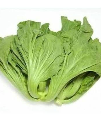kailan_thai KAILAN THAI 1KG