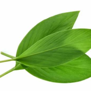 DAUN KUNYIT LOKAL 200G