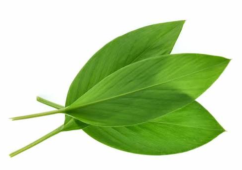 DAUN KUNYIT LOKAL 200G