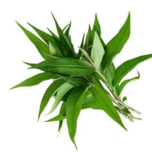 DAUN KESUM 10KG