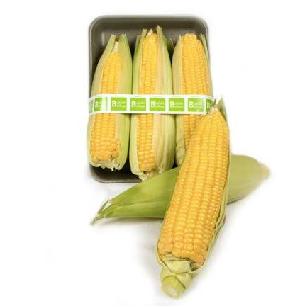 PLATE CORN 1BOX