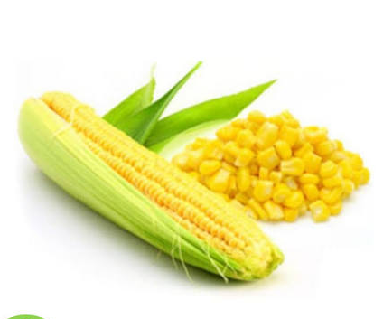 JAGUNG MANIS 1PCS