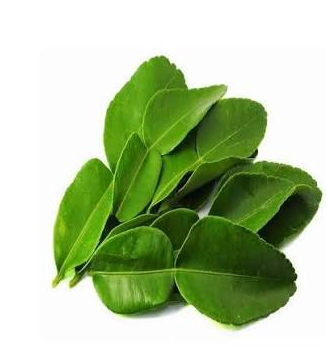 DAUN LIMAU 10KG
