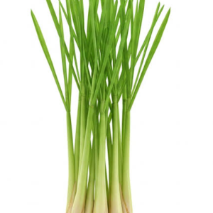 serai SERAI AAA 1KG