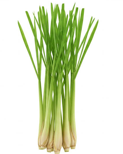 serai SERAI AAA 1KG