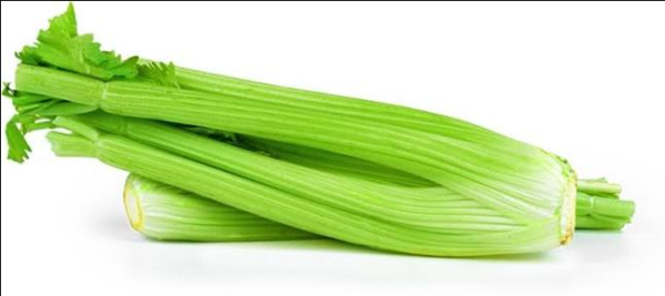 celery_china CHINA CELERY 10KG