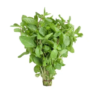 DAUN PUDINA 200G