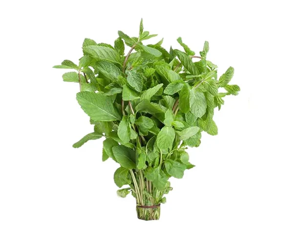 fresh-mint@2x DAUN PUDINA 200G