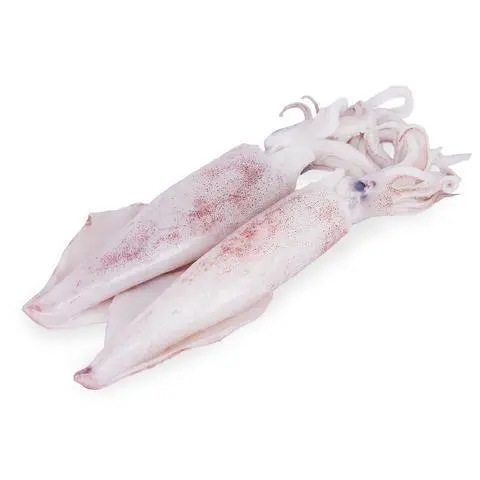 35144fb3-d4fb-48eb-a021-f3e3b0b1b9d1 SOTONG 3/6KG