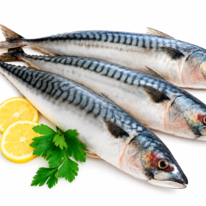 ChatGPT Image Jul 19, 2026 at 11_10_33 PM PASIFIC MACKEREL AAA 6/8