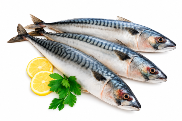 PASIFIC MACKEREL AAA 6/8