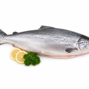 ATLANTIC SALMON WHOLE 5/6 (NO GLAZING)