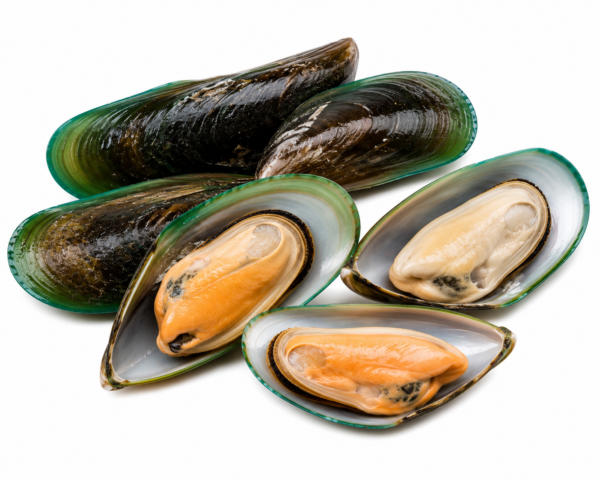 ChatGPT Image Jul 20, 2026 at 12_06_44 AM GREEN MUSSEL 1KG