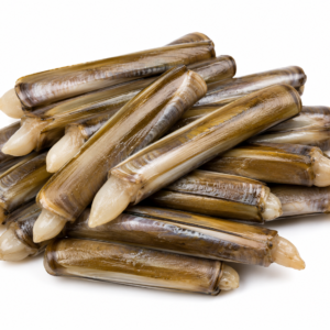 RAZOR CLAM 1KG