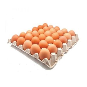 TELUR GRED B 30 PIECES (1 TRAY)