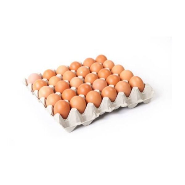 GRED D TELUR GRED D 30 PIECES (1 TRAY)