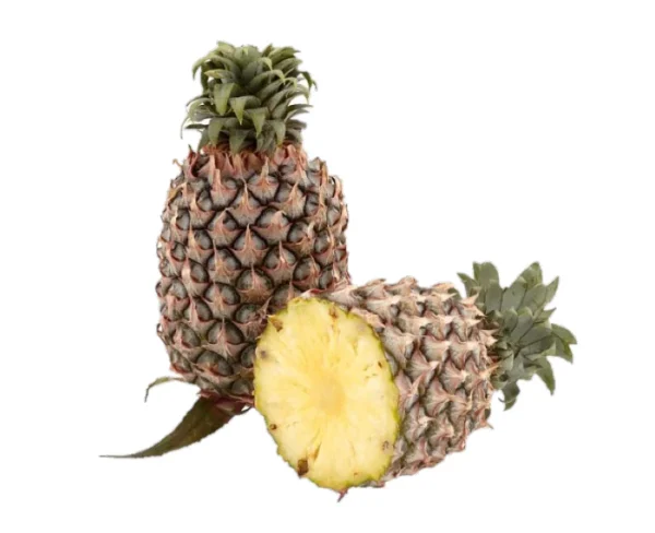 NANAS MORIS NANAS MORRIS (1 PIECES)
