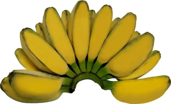 PISANG ABU PISANG ABU (1 KG)