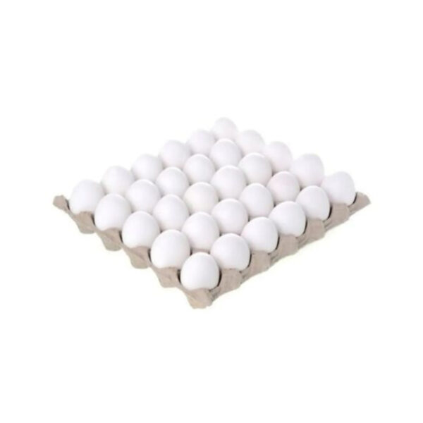 Telur-Itik-30-Pieces-(Tray)-optimized TELUR ITIK 30 PIECES (1 TRAY)
